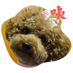 花嫚妮