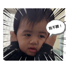 妃妃駕道