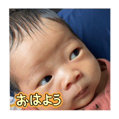 yuto_20241227202609