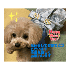 DIOあけましておめでとうございます