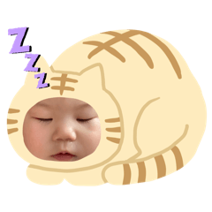 mah_20241228091623