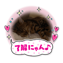 Yuto_20241228094135