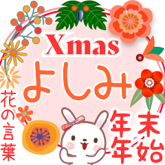 Xmas◆年末年始・正月●花の言葉◇よしみ