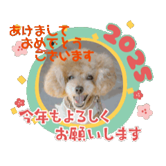mie_20241228203242