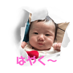 kk_20241228123080