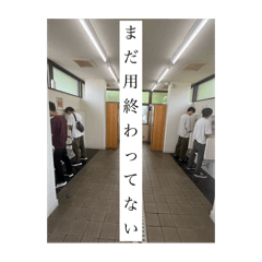 N_20241228153713