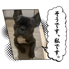 mai_20241228132805