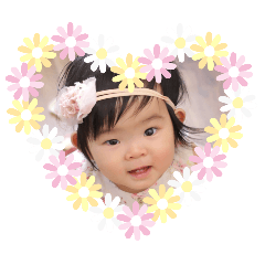 misa_20241228102635