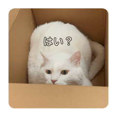yuriphone_20241228192937