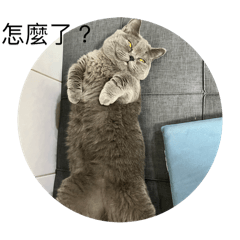 Ruby_20241228214142 – LINE stickers | LINE STORE