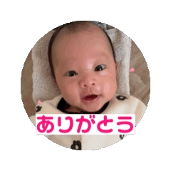 aya_20241228233719
