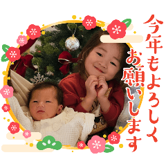 mie_20241228182754