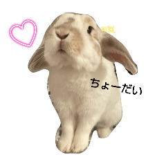 hiyori_20241228210135