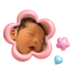 yoshi_20241228160136