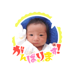 sansan_20241228195214