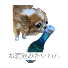 ai_20241228131644