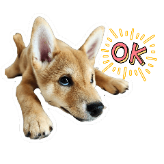 Shiba Inu dog stamp