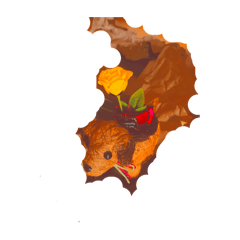 sunset japanesea_20241228150525