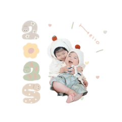 moco_20241228141948