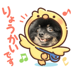 rena_20241228141253