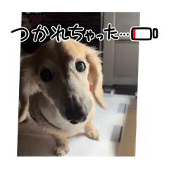 maki_20241228231216