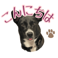 Eririn_20241229003834