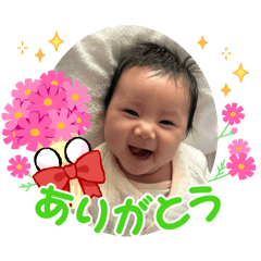 yuki_20241229004604