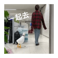 五年十六班迷因第1彈