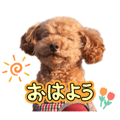 MARI_20241229015545