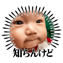h_20241229010931