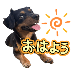 KASUMI_20241229023051
