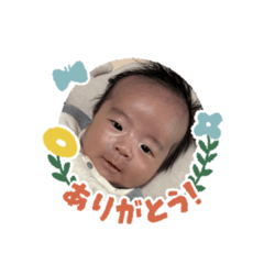 mi_20241229082219