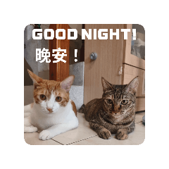 Money不是錢錢