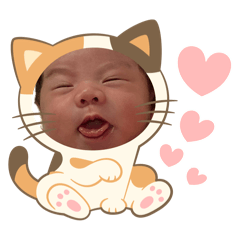 黃辰辰1