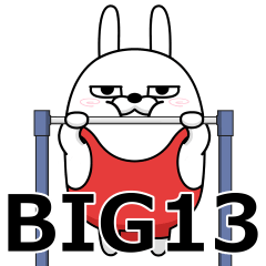 BIG rubbing rabbit13