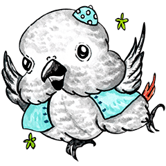 ParrotDaylife_Series of Gray parrot