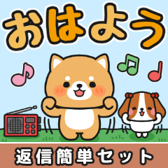 返信カンタン♪即レスＯＫ #柴犬クッキー7