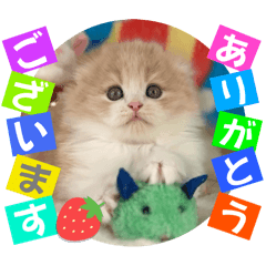 ねこまーち プリプリプリンセス