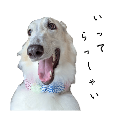 Borzoi stamp 1