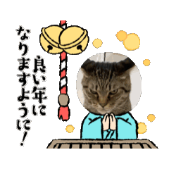 yumi_20241229221616