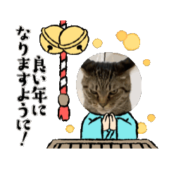 yumi_20241230010015