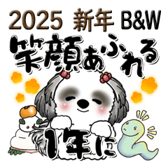 B&Wシーズー犬 『新年』2025