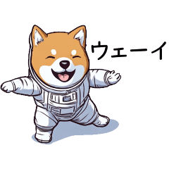 Easy-going shiba dog astronaut