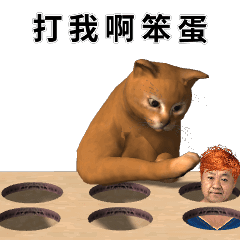 打我啊笨蛋 6392