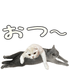 てちゃもちゃスタンプ