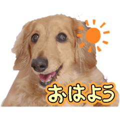 rena_20241229112437