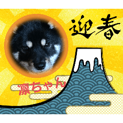 NATSUKO_20241229144323