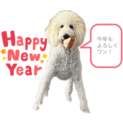minako_20241229145110
