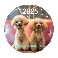 ai_20241229210807