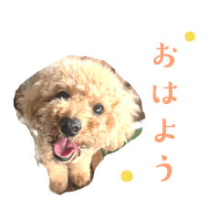 chihiro_20241229153835